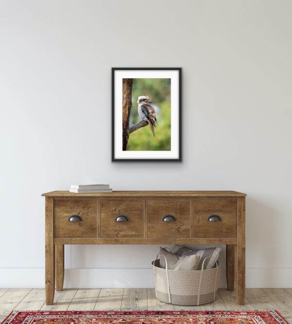 Kookaburra Framed Hallstand